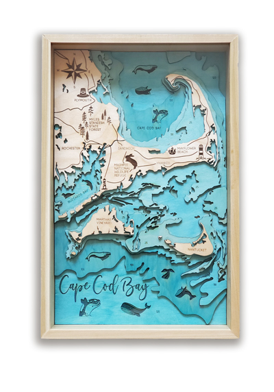 TOPOGRAPHIC MAPS &  WOODEN WALL ART